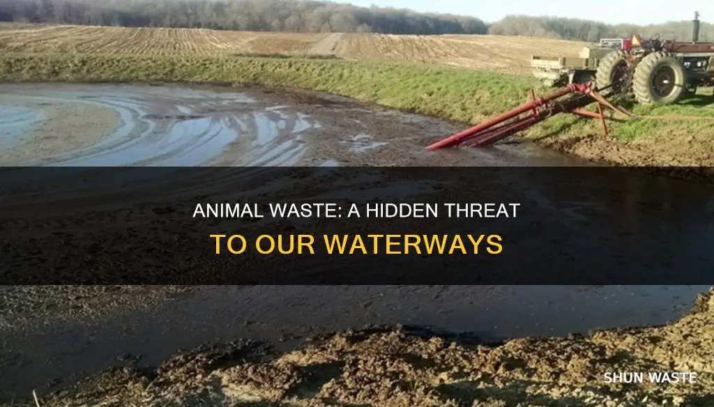 how does animal waste cause water pollution