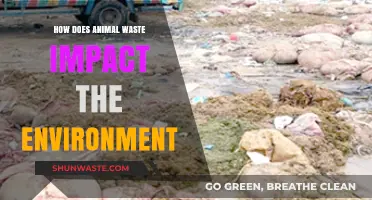 Animal Waste's Environmental Impact: Pollution, Ecosystem Disruption, and Solutions