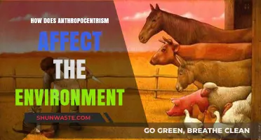 Anthropocentrism's Impact: How Human-Centered Thinking Harms Our Environment