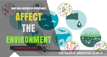 Antibiotic Resistance: Environmental Impact and Ecosystem Disruption Explained