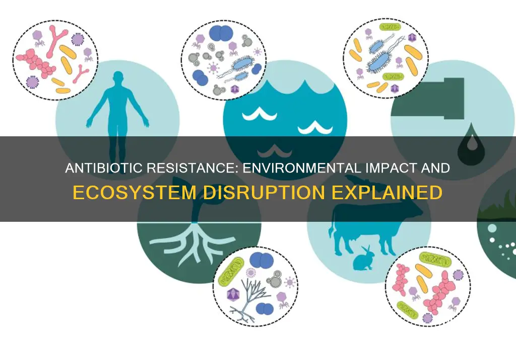 how does antibiotic resistance affect the environment