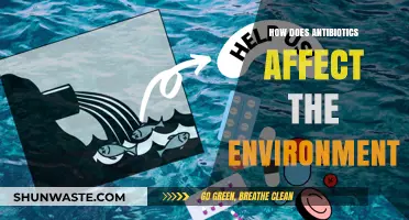 Antibiotics' Environmental Impact: Unseen Consequences on Ecosystems and Wildlife
