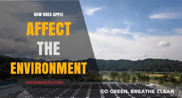 Apple's Environmental Impact: Sustainability Efforts and Ecological Footprint Explored