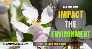 Apple's Environmental Footprint: Sustainability Efforts and Global Impact Explained