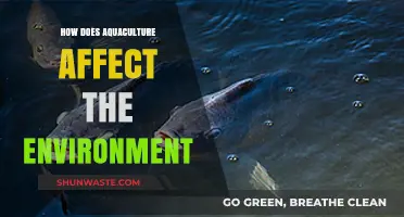 Aquaculture's Environmental Impact: Balancing Food Production and Ecosystem Health