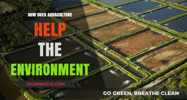 Aquaculture's Green Impact: Sustainable Practices for a Healthier Planet