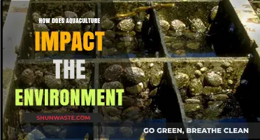 Aquaculture's Environmental Impact: Benefits, Challenges, and Sustainable Solutions