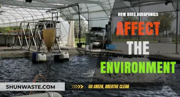 Aquaponics' Eco-Impact: Sustainable Farming for a Greener Environment