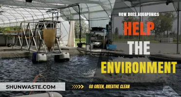 Aquaponics: A Sustainable Solution for Greener, Healthier Ecosystems