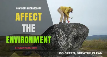 Archaeology's Environmental Impact: Uncovering the Past, Shaping the Future