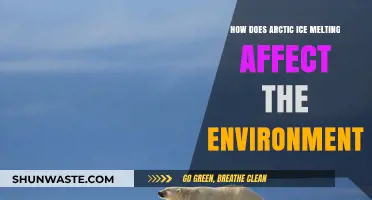 Arctic Ice Melt: Environmental Impacts and Global Consequences Explained