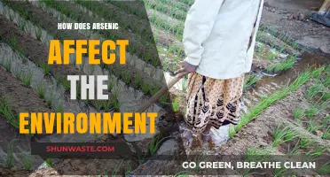 Arsenic's Environmental Impact: Pollution, Ecosystem Disruption, and Health Risks
