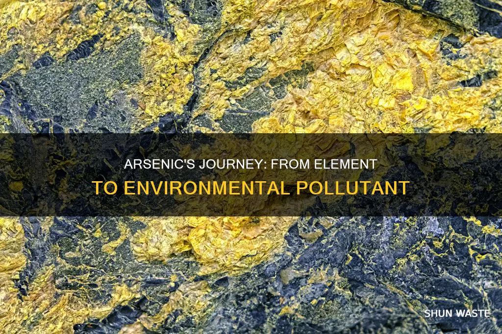 how does arsenic become a pollutant