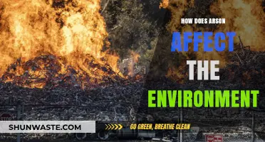 Arson's Environmental Impact: Devastation, Pollution, and Ecosystem Destruction Explained