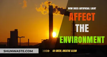 Artificial Light's Environmental Impact: Unseen Consequences and Sustainable Solutions