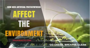 Artificial Photosynthesis: Environmental Impact and Sustainable Energy Potential