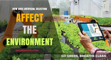 Artificial Selection's Environmental Impact: Shaping Ecosystems and Biodiversity