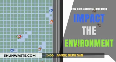 Artificial Selection's Environmental Impact: Shaping Ecosystems and Biodiversity