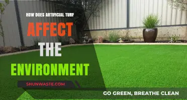 Artificial Turf's Environmental Impact: Benefits, Drawbacks, and Sustainability Concerns