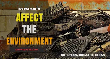 Asbestos Environmental Impact: Pollution, Health Risks, and Ecosystem Destruction Explained