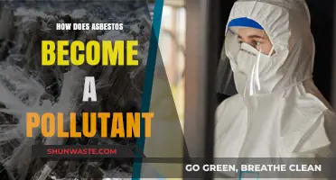 Asbestos: A Health Hazard and Environmental Pollutant