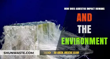 Asbestos Dangers: Human Health Risks and Environmental Impact Explained