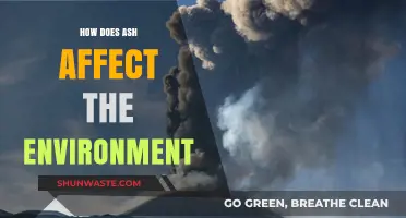 Ash's Environmental Impact: Effects on Ecosystems, Air, and Soil Health