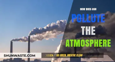 Ash Pollution: Atmospheric Contamination and Its Impact