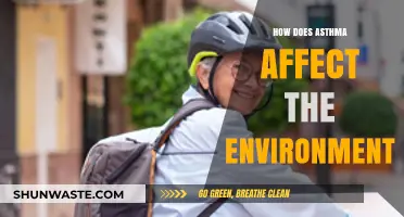 Asthma's Environmental Impact: Uncovering the Hidden Ecological Consequences
