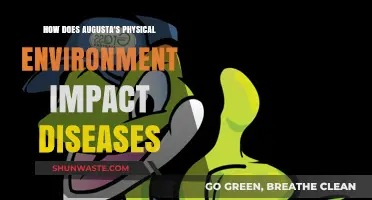 Augusta's Landscape: Shaping Disease Patterns and Public Health Outcomes