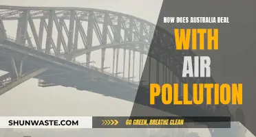 Australia's Air Pollution: Strategies and Solutions