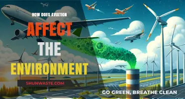 Aviation's Environmental Impact: Emissions, Noise, and Climate Change Explained