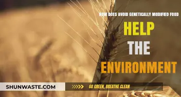 Avoiding Genetically Modified Foods: A Sustainable Choice for Our Planet