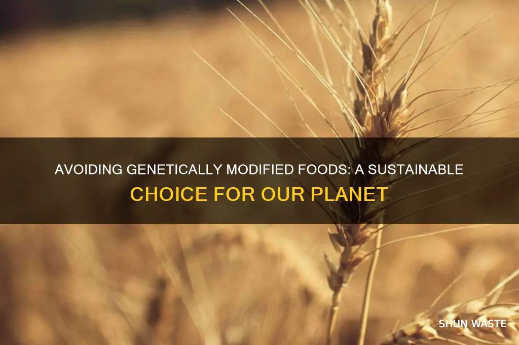 how does avoid genetically modified food help the environment