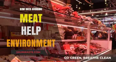 Cutting Meat Consumption: A Powerful Step Toward Environmental Sustainability