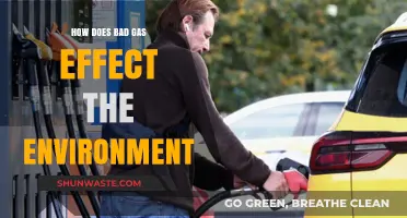 Bad Gas: Environmental Impact and Sustainable Alternatives Explained