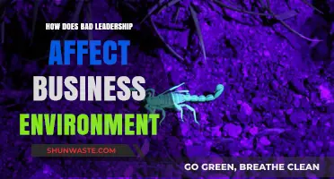 Toxic Leadership: How Poor Management Destroys Business Culture and Productivity