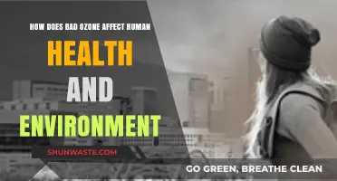 Bad Ozone's Impact: Health Risks and Environmental Consequences Explained