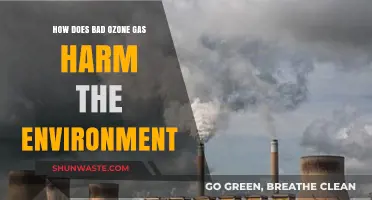 Bad Ozone's Environmental Impact: Understanding Its Harmful Effects