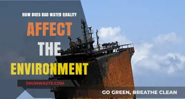 Toxic Tides: How Poor Water Quality Destroys Ecosystems and Wildlife