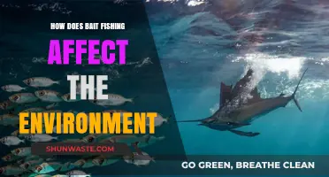 Bait Fishing's Environmental Impact: Uncovering Ecological Consequences and Solutions