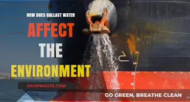 Ballast Water's Environmental Impact: Invasive Species and Ecosystem Disruption