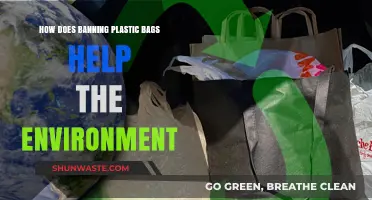 Banning Plastic Bags: A Simple Step Toward Environmental Preservation