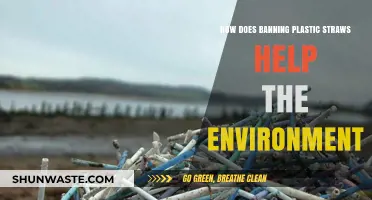 Banning Plastic Straws: A Small Step with Big Environmental Impact