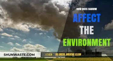 Barium's Environmental Impact: Pollution, Ecosystem Disruption, and Health Risks
