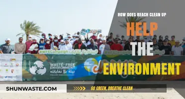 Beach Cleanups: Revitalizing Ecosystems and Protecting Marine Life Effectively