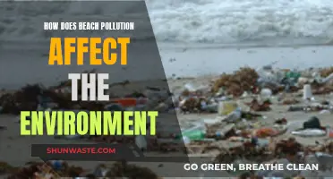 Beach Pollution: Environmental Impact and Devastating Effects