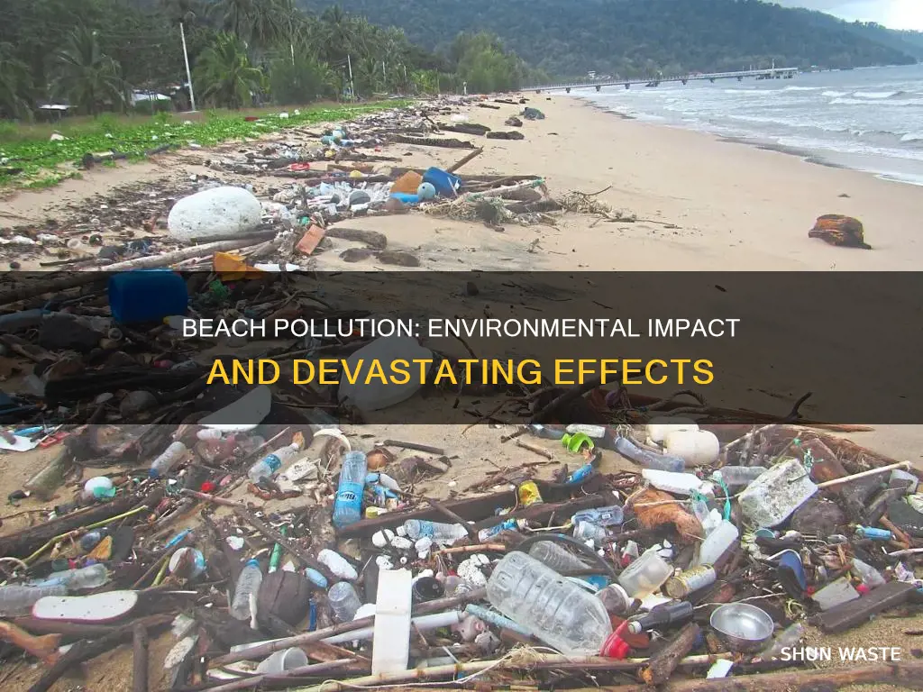 how does beach pollution affect the environment