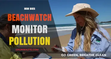 Beachwatch: Monitoring Pollution for a Cleaner Coast