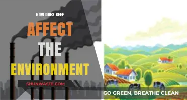 Beef's Environmental Impact: Climate, Land Use, and Sustainability Explained